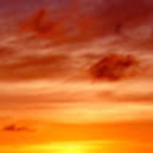 Meet your Posher, Vashty